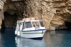 El Fadrí entra i surt