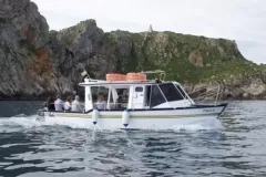 El Fadrí navegant